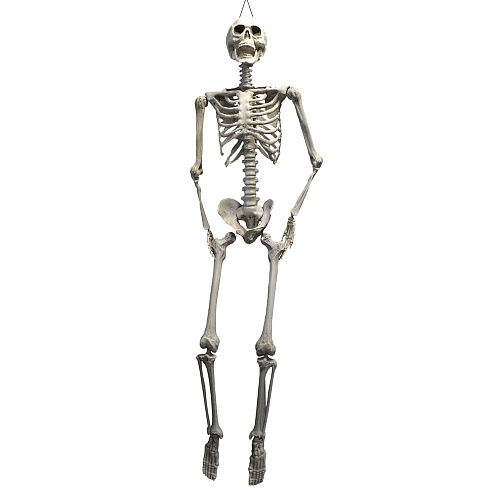 Большой человеческий скелет (175 см)